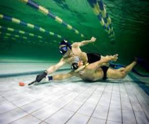 chetverka_samyx_neordinarnyx_vidov_sporta